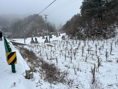 微信图片_20260104105535